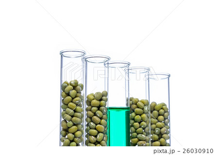 Mung Bean genetically modified, Plant Cell Mung Bean genetically modified, Plant Cell 26030910