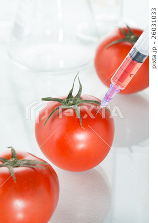genetic modification red tomato laboratory 26031033
