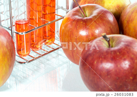 vegetable test,  Genetic Modificationm,apple 26031083