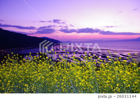 薄暮の御輿来海岸 26031144