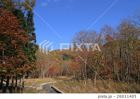 北アルプス山麓の秋 北アルプス山麓の秋 26031405