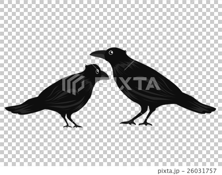 カラスの親子 26031757