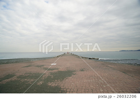 小田原 御幸(みゆき)の浜海岸 小田原 御幸(みゆき)の浜海岸 26032206