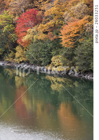 琵琶池畔の紅葉 26033251