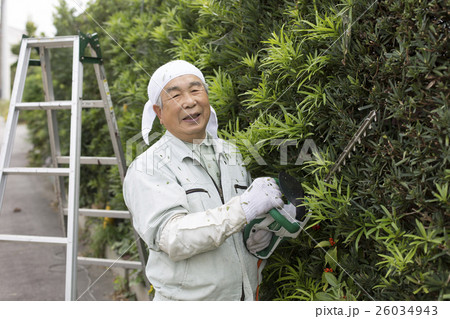 植木剪定 26034943