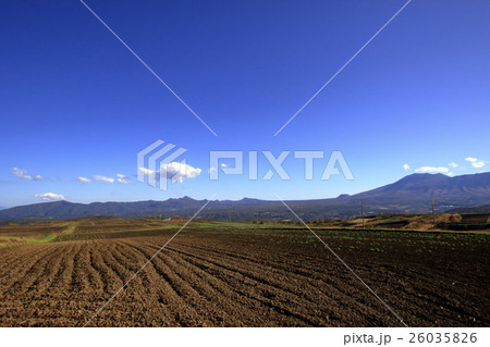 嬬恋村から見る浅間山 嬬恋村から見る浅間山 26035826