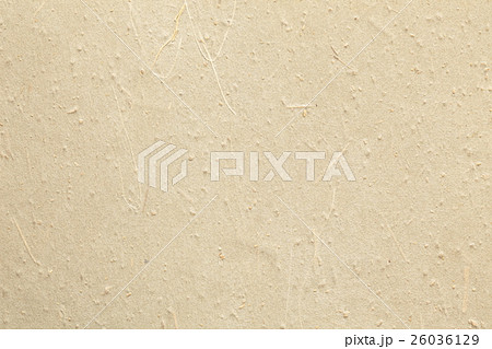 和紙 和紙 26036129