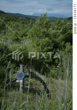 洞爺 西山山麓火口(折れた電柱) 洞爺 西山山麓火口(折れた電柱) 26036175