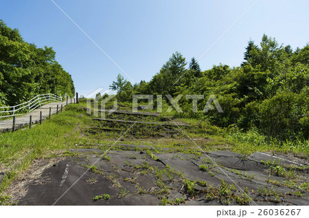 洞爺 西山山麓火口（断層化した道） 26036267