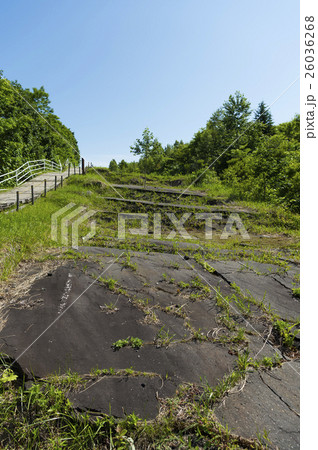 洞爺 西山山麓火口(断層化した道) 洞爺 西山山麓火口(断層化した道) 26036268