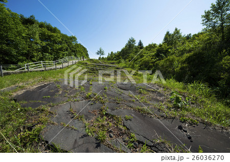 洞爺 西山山麓火口(断層化した道) 洞爺 西山山麓火口(断層化した道) 26036270