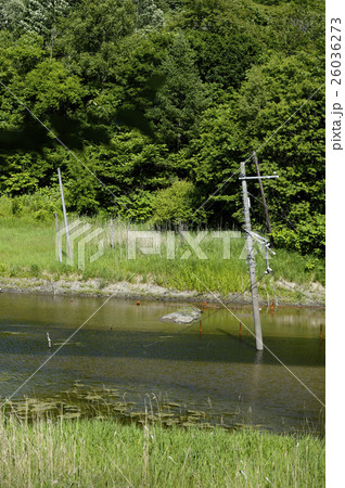 洞爺 西山山麓火口（西新山沼） 26036273