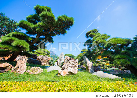 Nan Lian garden - beautiful garden in town Nan Lian garden - beautiful garden in town 26036409