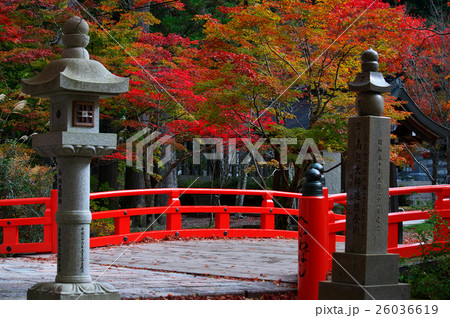 奥の院の紅葉　赤い欄干の橋と灯篭　高野山　和歌山県 26036619