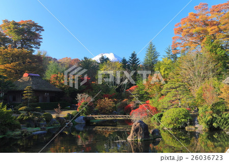 忍野村日本庭園の紅葉と富士山 26036723