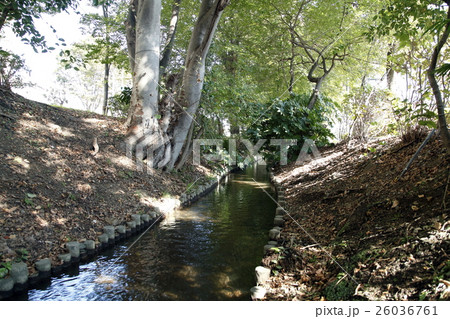 千川上水 26036761