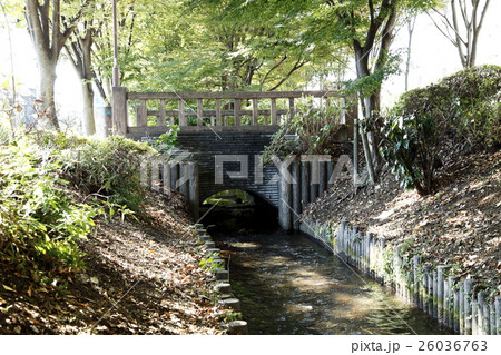 千川上水 千川上水 26036763