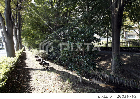 千川上水 26036765