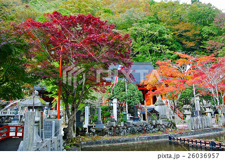 天川村　龍泉寺の紅葉 26036957