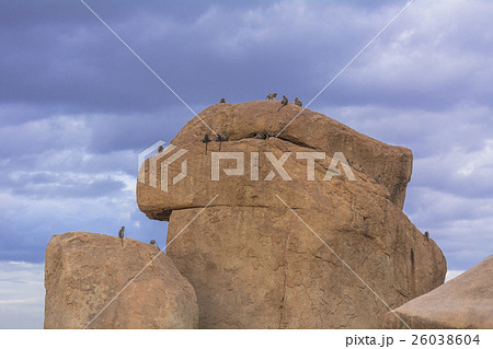 ハンピ古代遺跡の巨石 26038604