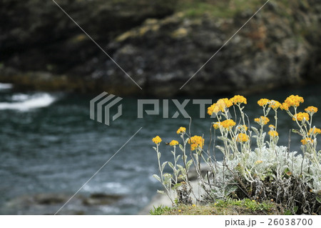フランス ベリル島 フランス ベリル島 26038700