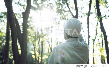 森を視察 森を視察 26039076