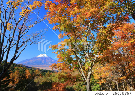 紅葉の二十曲峠と富士山 紅葉の二十曲峠と富士山 26039867