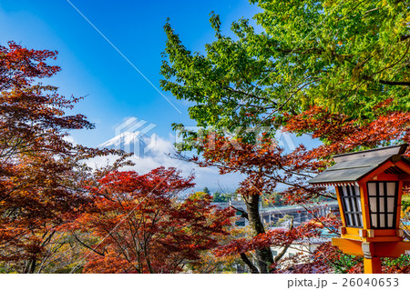 【山梨県】秋の富士山 【山梨県】秋の富士山 26040653