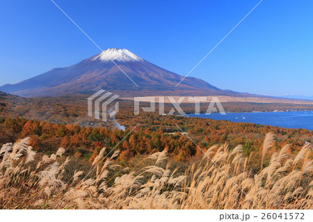 山中湖パノラマ台から見た紅葉と富士山 26041572