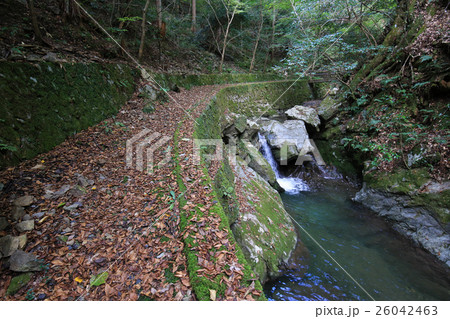 愛媛県　三滝渓谷　遊歩道 26042463