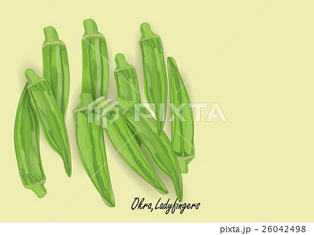 Drawing of lady finger  Okra drawing  Kids Artistry   YouTube