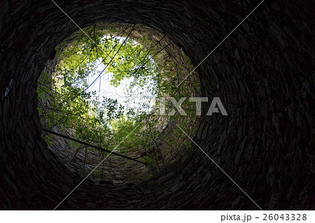 Green branches on top of tower like tiny planet Green branches on top of tower like tiny planet 26043328