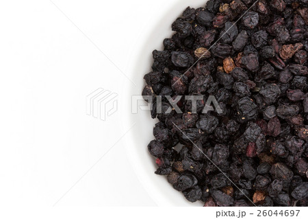 エルダーベリー: Elderberries (Sambucus nigra) エルダーベリー: Elderberries (Sambucus nigra) 26044697