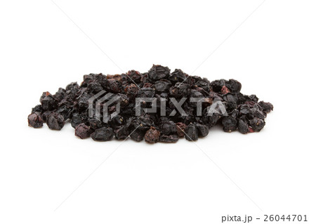 エルダーベリー: Elderberries (Sambucus nigra) 26044701