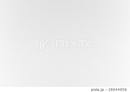 white paper canvas II 26044956