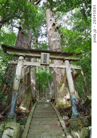 熊野古道 継桜王子社の鳥居・石段・野中の一方杉 熊野古道 継桜王子社の鳥居・石段・野中の一方杉 26045693