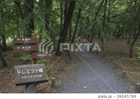 夏の巾着田にて 26045784