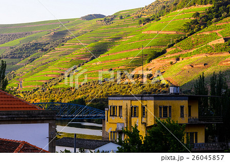 river Douro valley, Portugal river Douro valley, Portugal 26045857