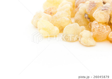 乳香(フランキンセンス): Frankincense Resin 乳香(フランキンセンス): Frankincense Resin 26045879