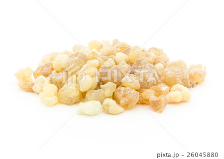 乳香（フランキンセンス）: Frankincense Resin 26045880
