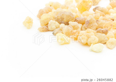 乳香(フランキンセンス): Frankincense Resin 乳香(フランキンセンス): Frankincense Resin 26045882