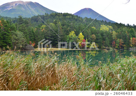 オンネトー湖 オンネトー湖 26046433