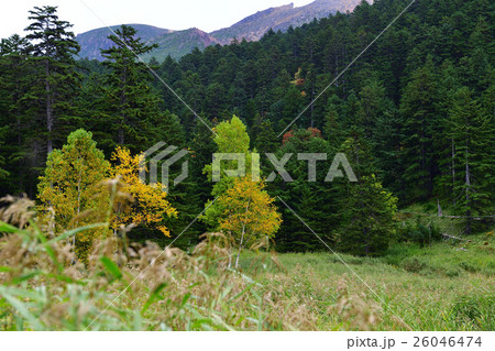 オンネトー湖 オンネトー湖 26046474