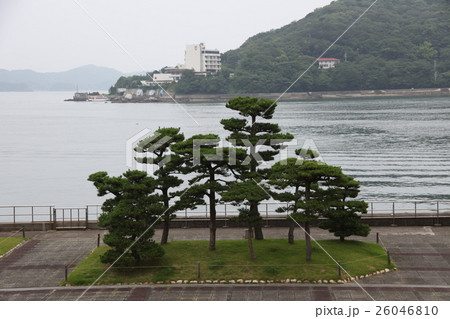 真珠島_鳥羽 真珠島_鳥羽 26046810