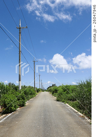 宮古島　南国の道 26047946