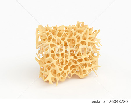 Bone structure osteoporosis isolated on white 26048280