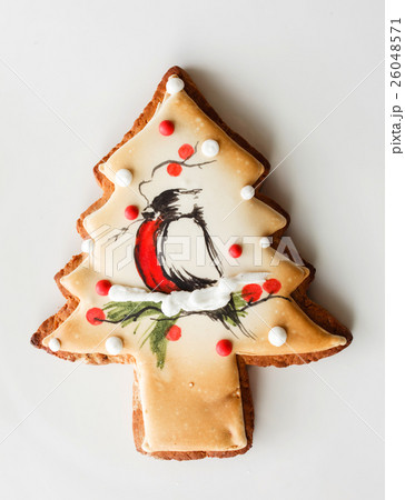 Christmas cookie 26048571