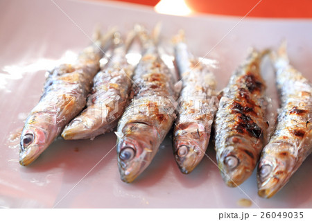 スペインで食べるおいしい鰯塩焼 スペインで食べるおいしい鰯塩焼 26049035
