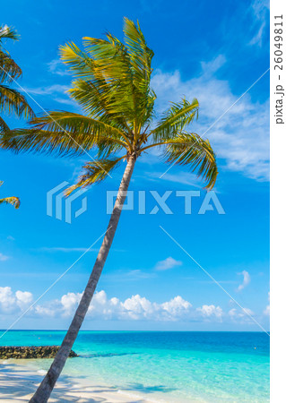 Beautiful tropical Maldives island, white sandy beach and sea with palms tree around . Beautiful tropical Maldives island, white sandy beach and sea with palms tree around . 26049811