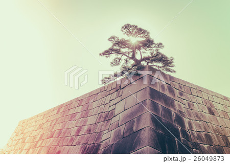 The foundation of a Castle tower of the Edo-jo Castle,Japan ( Filtered image processed vintage effect. ) 26049873